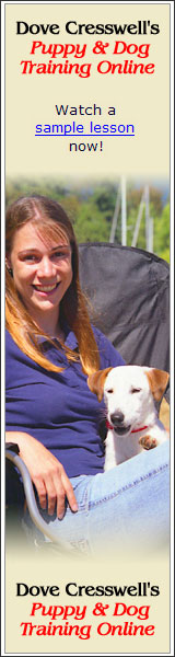 Jack Russell Training eBook