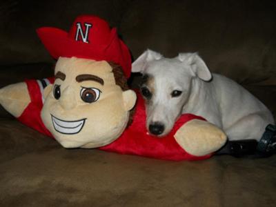 GO HUSKERS!!!!
