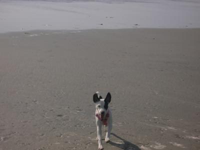 jaclyn at Dog Beach