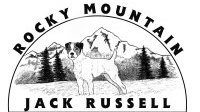 rocky mountain jack russell terrier network