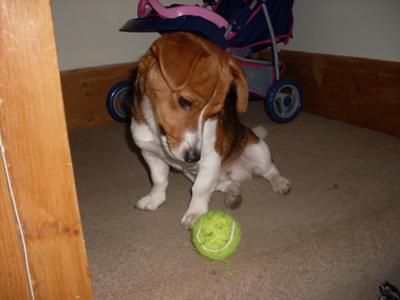 His Typical 'Please Play With Me' Look