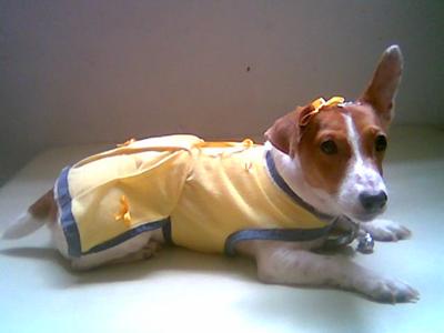 Amber in her yellow dress