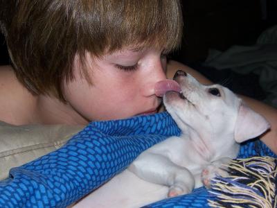 puppy kisses