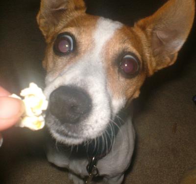 mmm...popcorn