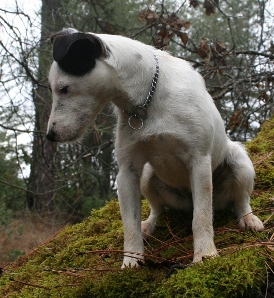  Jill on top of the world