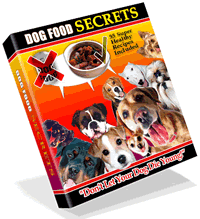 jack russell ebook