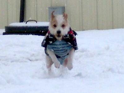 Fun in the Snow!