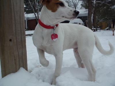 Playing in the snow