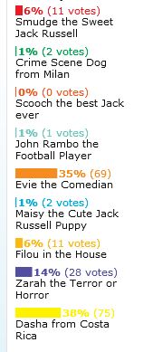 Voting Results for January 2012 Jack Russell Terrier Pictures and Story of the Month