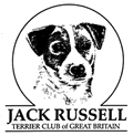 jack russell terrier club of britain