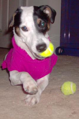 LUCY PLAYING BALL