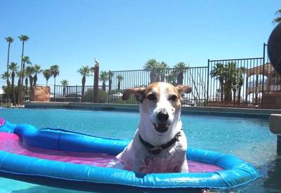 Macho chillin on raft