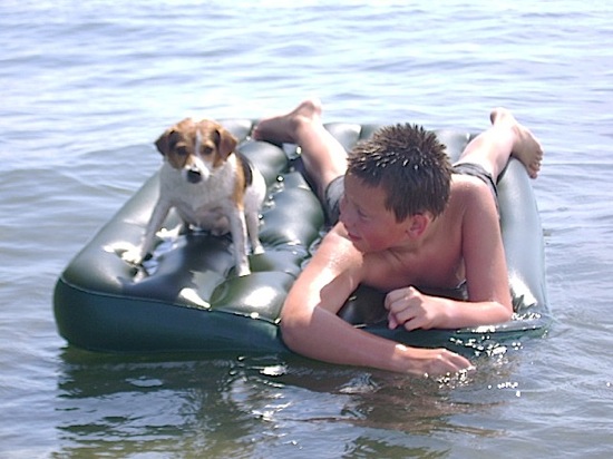 Surfing Jack Russell Terrier Magnus