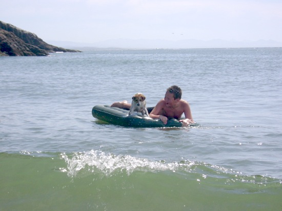 Surfing Jack Russell Terrier Magnus