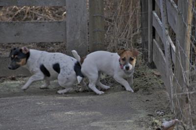 Mayia and Tilly planning their escape