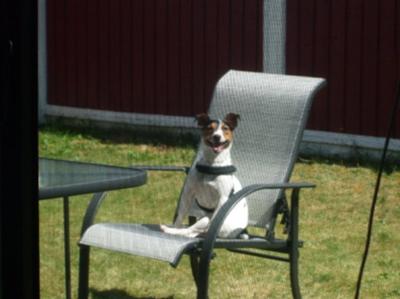 Broady Taking in the Sunshine :)