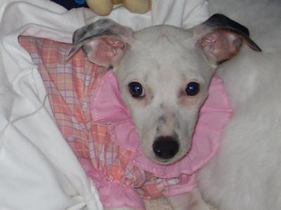 Meet Lolly