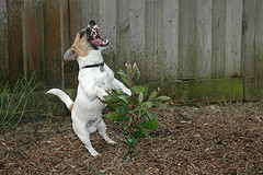 jrt training