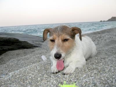 Playing at the Beach