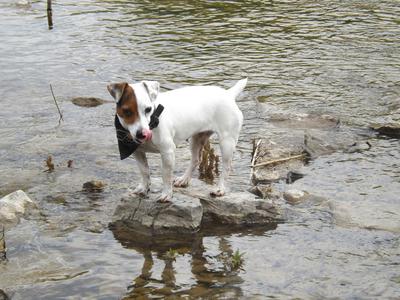 Philly Playing
