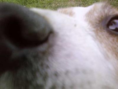 her nose(: