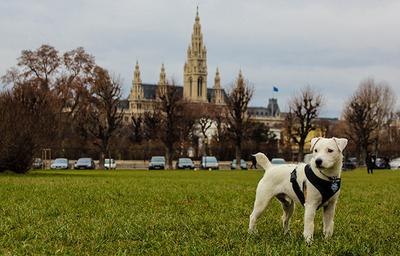 Thor in Vienna, Austria!