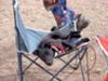Lazy Dog