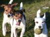 Liv, Inja, and Boney Play Ball