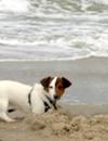 Lola Building a Sand Castle