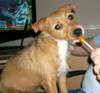 Millie Loves Lollies!