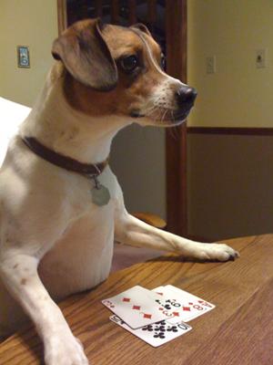 Wilson's Poker Face