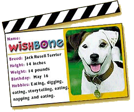 wishbone the dog
