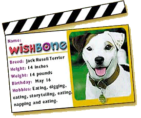 Popular jack russell deals names