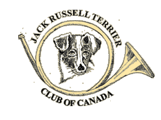 jack russell terrier club of canada