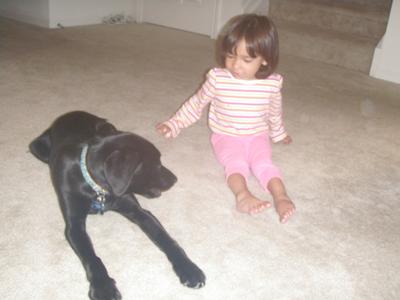 Sparky and our daughter his favorite toy!