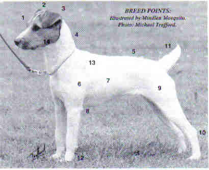 jrt standard