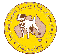 jack russell breeders