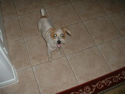 Maggie