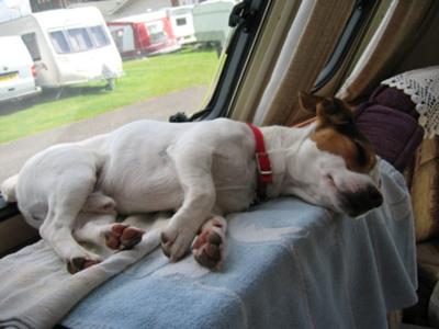 This is the Life