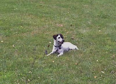 he loves to go for long walks