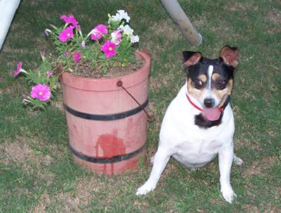 DON'T TELL GRANNY ...I PEED ON HER BUCKET!!