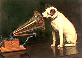 RCA dog Nipper