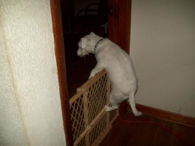 escaping to my safe place