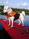 Addie on the Kayak
