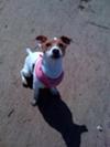 THIS IS A WINDY PICTURE OF HER ON THE BEACH AT FORMBY, MERSEYSIDE