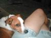 My Patchie