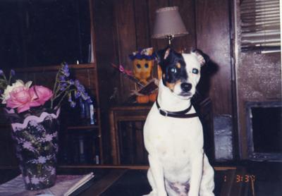 si quedes si quedes..hahaha si habla en espanol